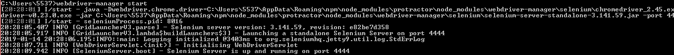 010_selenium_server_start
