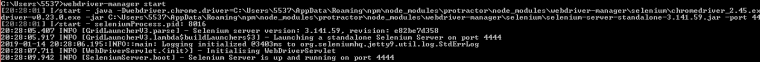 010_selenium_server_start