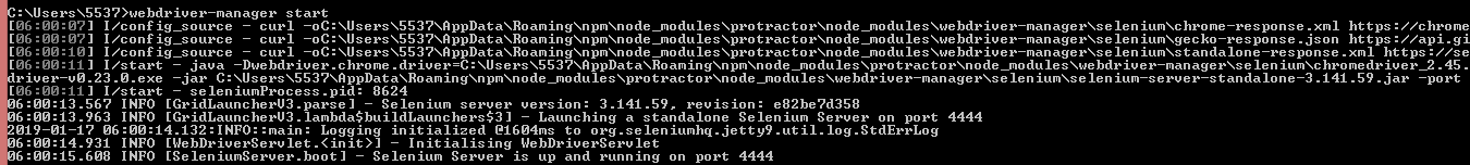 018_selenium_server_running