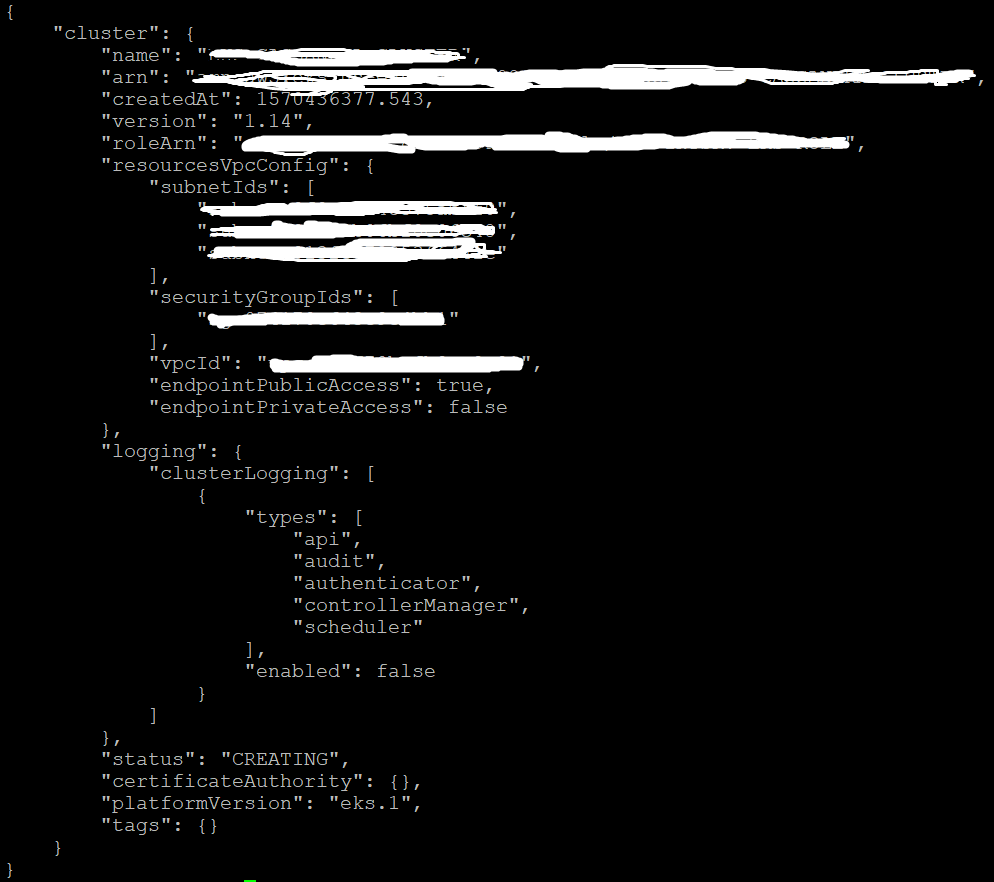 eks_cluster_response